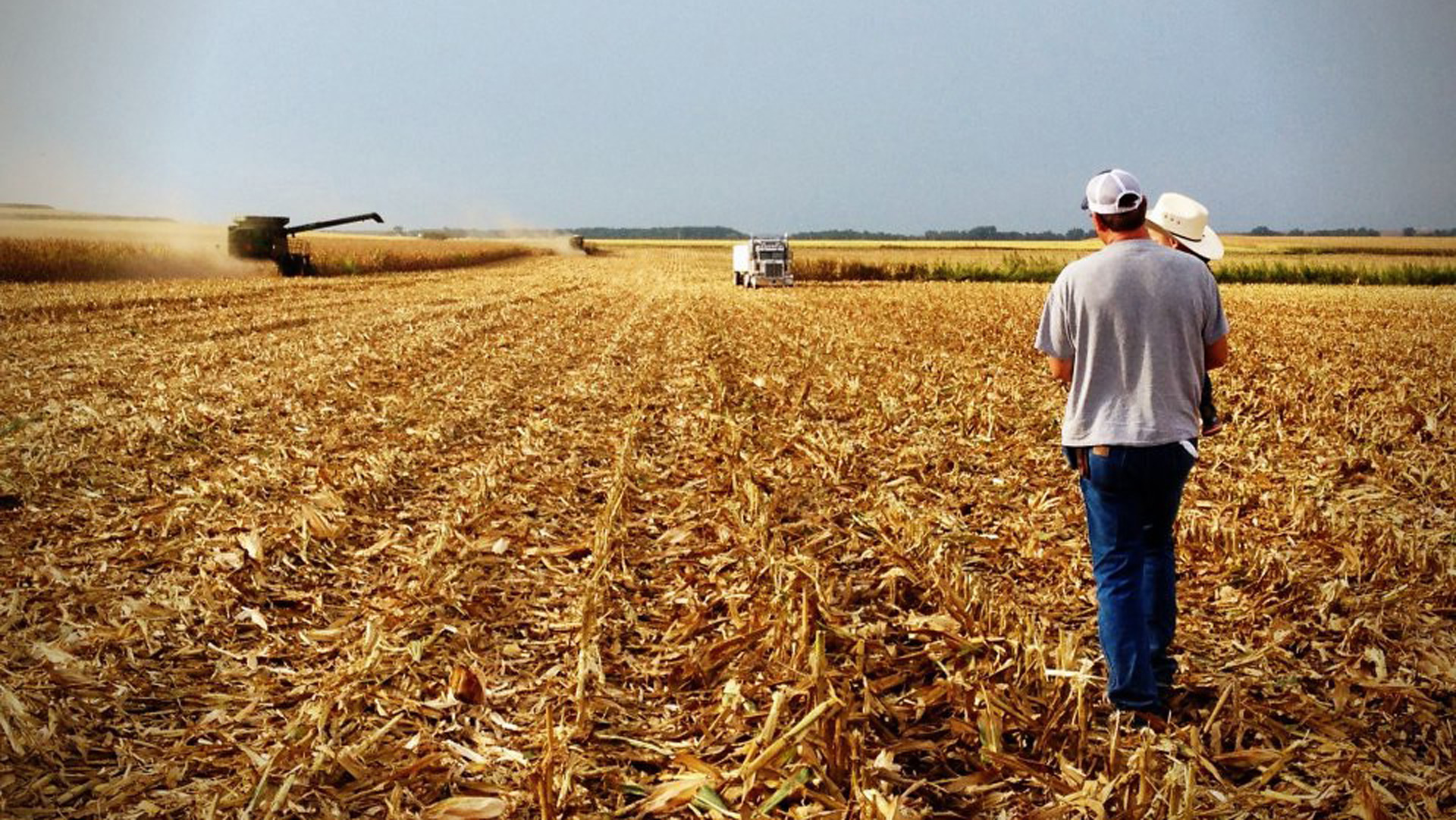 UMASH Stress and Mental Health | North Central Farm and Ranch Stress ...